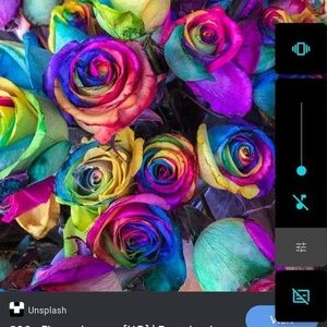 Meet your Posher, Tony